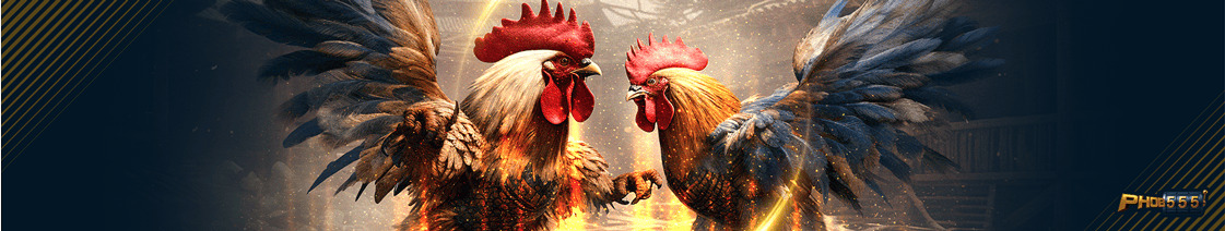 Cockfight Betting Banner